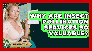 Why Are Insect Pollination Services So Valuable? - Explaining Ecology