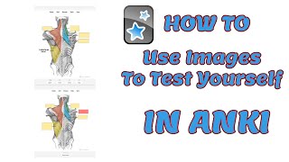 How To Use Images to Test Yourself in Anki - Image Occlusion Flashcards (2023)