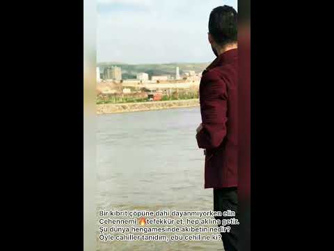 Hanedar-beyanat
