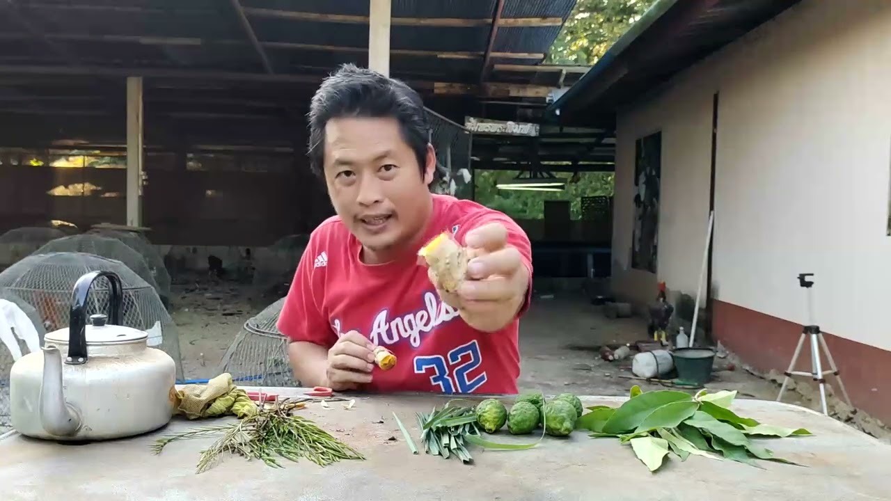 EP3.น้ำยาอาบน้ำไก่สูตรเงินล้านแบบดั้งเดิม