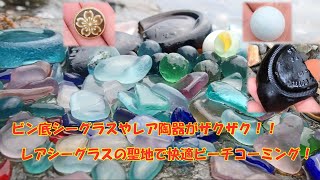 貴重なビン底シーグラスがザックザク！！ この海やっぱりすごすぎ