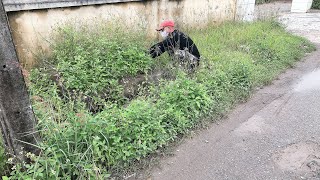 The sidewalk I walked on was full of grass and trash. I volunteered to clean it up for a satisfying