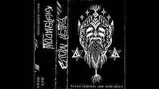Flesh Molt (Flesh Control & Head Molt) - Death Sector (2011)
