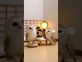 2026年3月28日