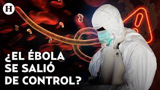 'It's overwhelming us': This is the WHO's worrying report on the new outbreak