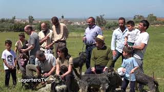 Perro Carea Castellano Foto de Familia Participantes