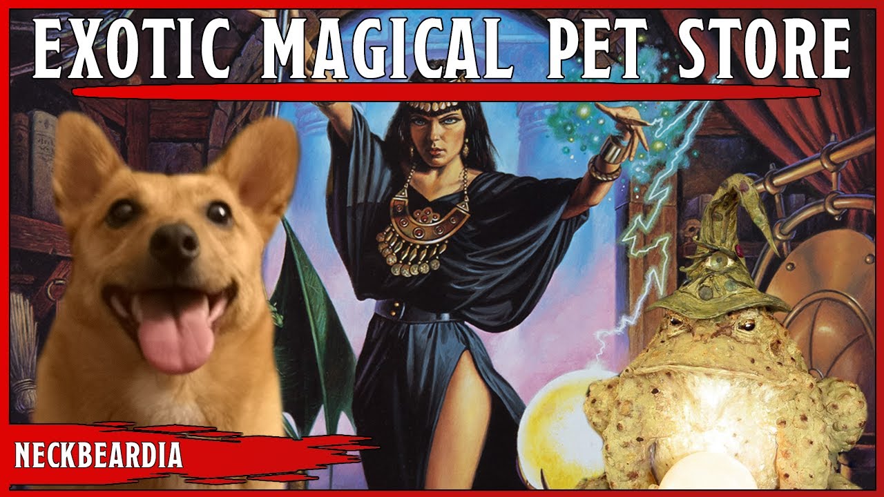 creatures pet shop