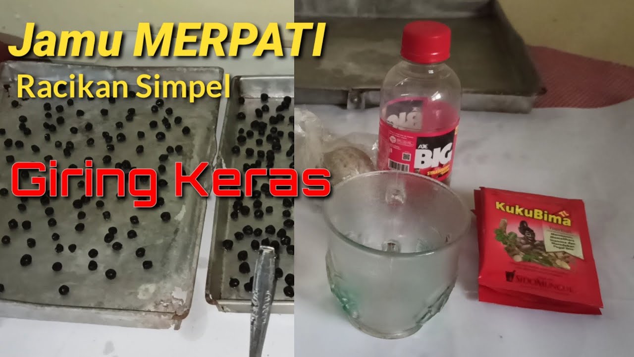 Jamu Herbal Agar MERPATI Giring Keras dan Berstamina