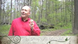 Path Promo