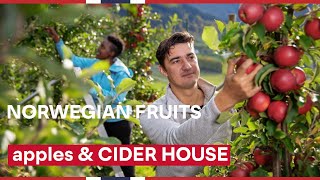Norwegian fruits, APPLES & CIDER HOUSE