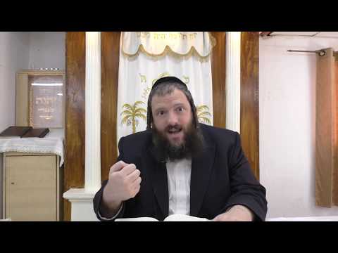 דבר תורה קצר לפרשת האזינו עם הרב דוד משה בלוי - 'על כנפי נשרים'