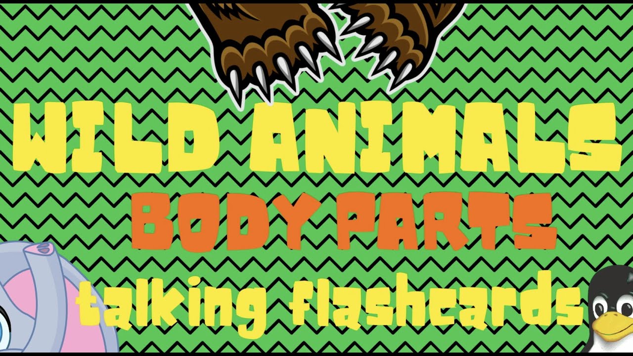 Wild animals body parts talking flashcards