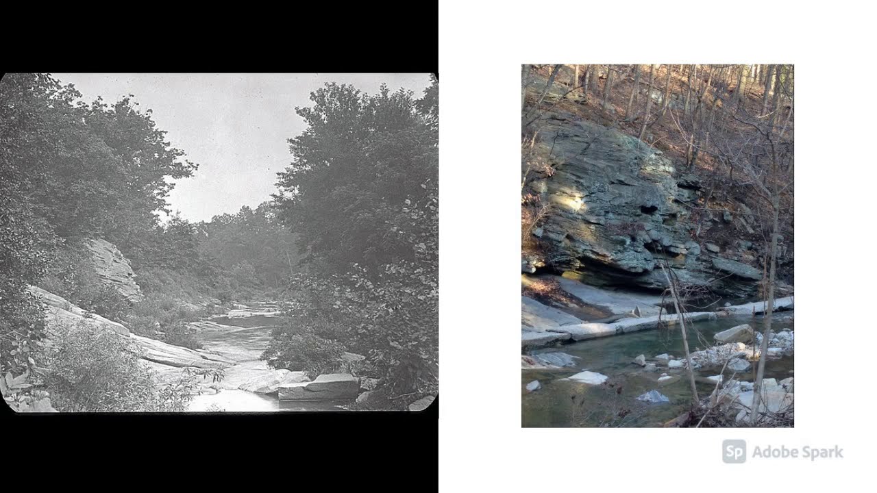 Friends of Herring Run Parks 2020 Black Friday Virtual Hike YouTube