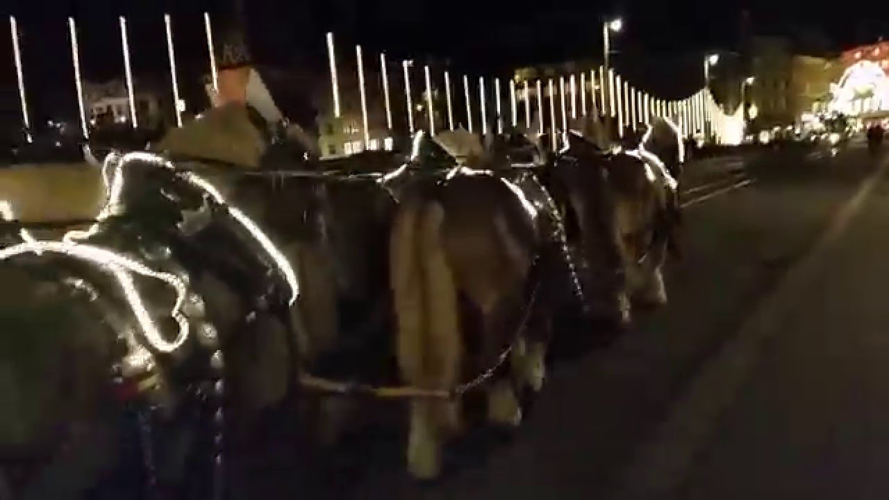 Rheinbrücke...Live...Pferdegespann....11.Dez.2015..