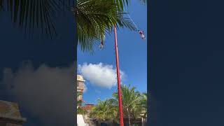 Download Lagu The Flyers Costa Maya Mexico # #travel #cruise #costamaya #carnivalcruise #ocean #2023 #exciting MP3