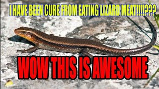 I HAVE BEEN CURE FROM EATING LIZARD MEAT!!!? DON'T UNDERESTIMATE HEALTH BENEFITS OF LIZARDS