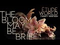 Etude world winterguard 2019 the bloom may be brief