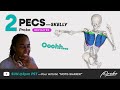 Lofi 'Draw With Me' Real-Time: How to Draw the PECS—PROKO ANATOMY