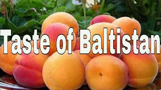 Apricot in Baltistan Documentary flims Taste of Gilgit Baltistan Explore Gilgit Baltistan
