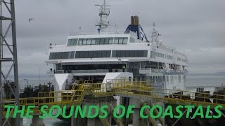 The Sounds Of Coastals