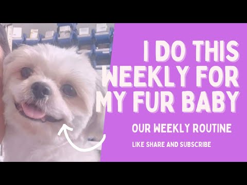 I Do this weekly for my FUR BABY #furbaby #furparents #dog #capturedbyb 