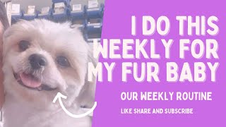 I Do this weekly for my FUR BABY #furbaby #furparents #dog #capturedbyb 