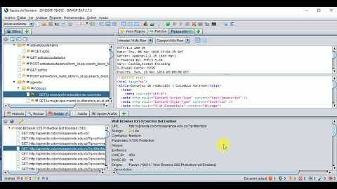 Zed Attack Proxy (ZAP)