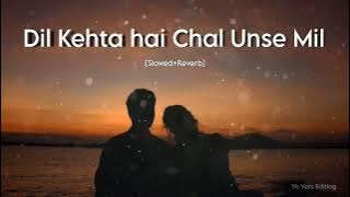 Dil Kehta Hai Chal Unse Mil | Slowed Reverb | Lofi | 90s