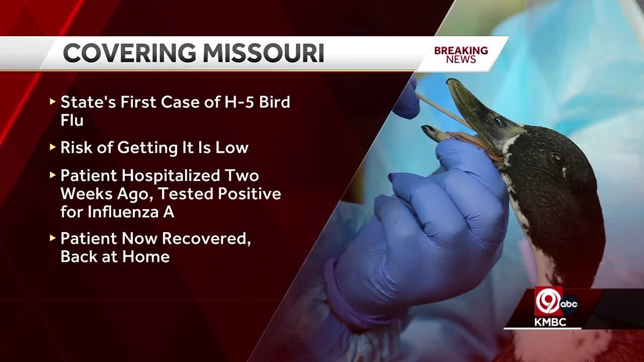 Bird flu: Missouri reports first human case of H5 bird flu - YouTube
