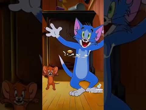 حالات واتس صحبي يا ابو صحاب عمرنا ما نتفارق