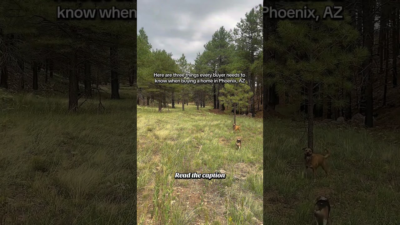 The top three things that every buyer needs to know when purchasing a home in Phoenix, Arizona...