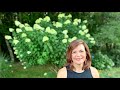 How To Grow Gorgeous Hydrangeas // Gardening with Creekside