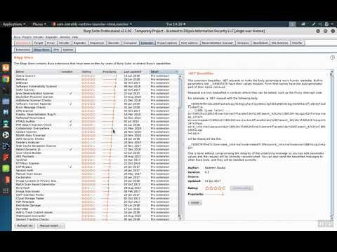 Burp Suite 2 Professional: Adding Extensions