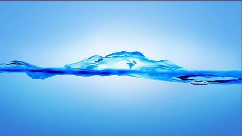 Making Price Changes to the Database