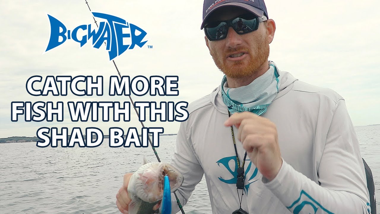 This Shad Bait Catches Fish Deeper Than Most - Review of The Reef Runner .44 Mag