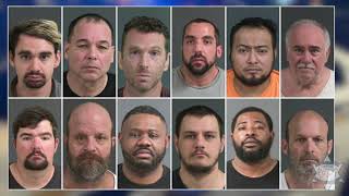 12 charged for child sex crimes following undercover CCSO operation