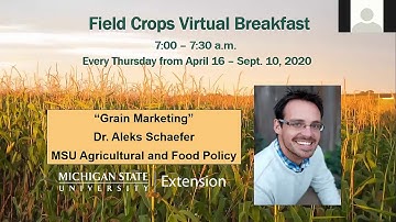 Field Crops Virtual Breakfast: Grain Marketing