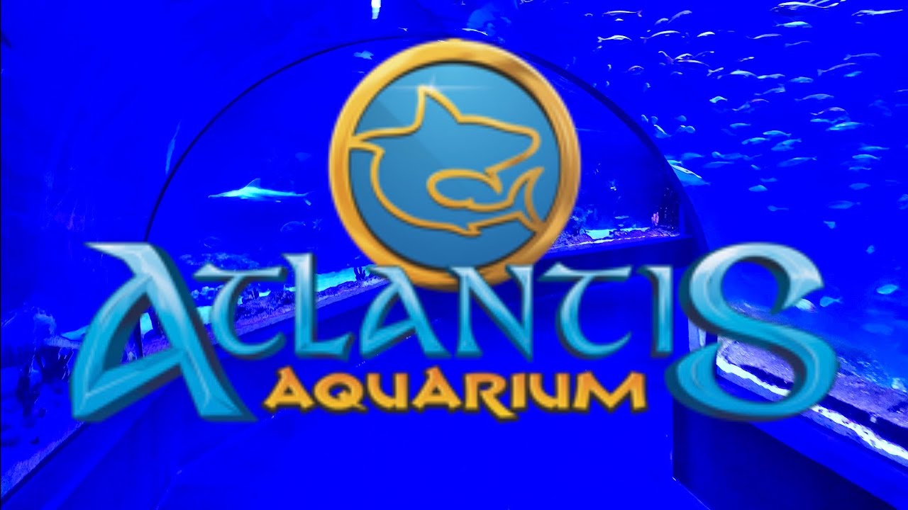 Acuario atlantis aquarium Madrid, muchas variedades marinas, ven e ingresa a una aventura marina - Sorpréndete-Ousha