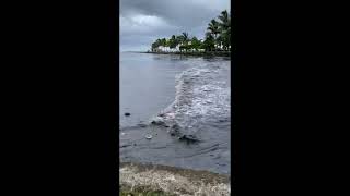 Tsunami hits Suva, Fiji [Extended]. January 15, 2022