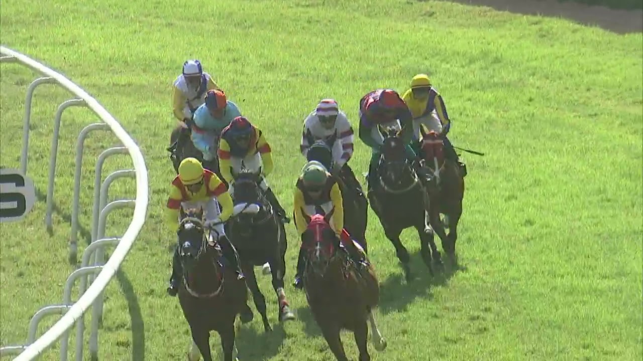 RACE NO 3 THE CHARMINAR PLATE (118)