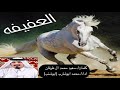 العفيفه محمد ابوشارب ابوشنب
