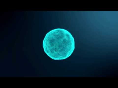 MORPH | Video animation