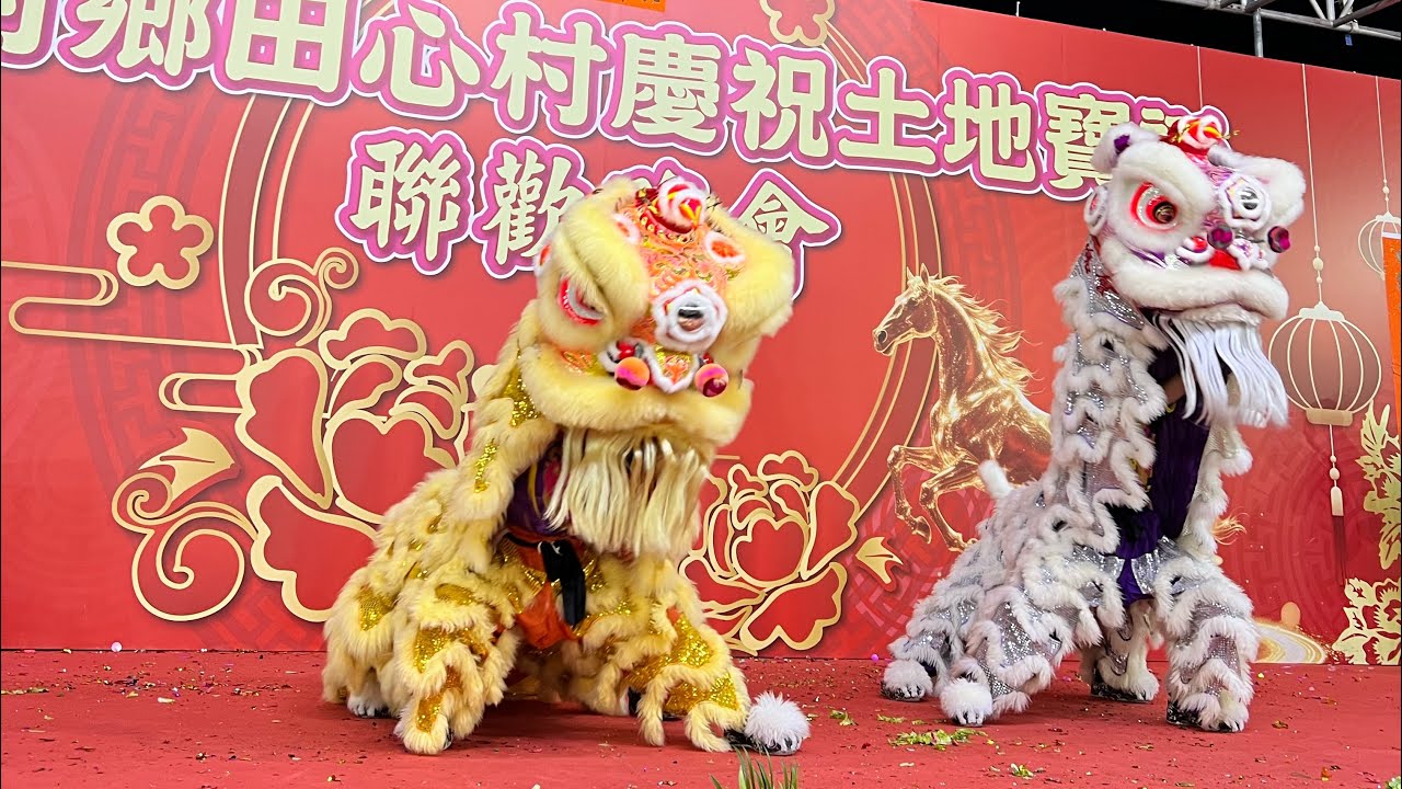 2026: 一場精彩的演出,廈村鄉田心村慶祝土地寶誔.