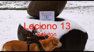Lernu Esperanton kun Superhundo! – Leciono 13