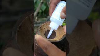 How To Make Coconut Cute Bowl ,Help For Grandma -Diy#Shorts