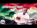افديك بالروح يا موطني الفنان محمد محجوب افديك بالروح يا موطني الفنان محمد محجوب