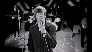 Herman&#39;s Hermits - I&#39;m Into Something Good &amp; Listen People (1966 Live from Australian TV)(SMix)
