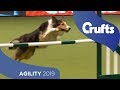 Agility - International Invitation - Large - Jumping | ​Crufts 2019