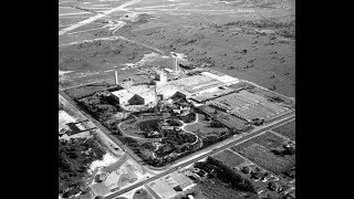 60 Years of Busch Gardens | Busch Gardens Tampa Bay
