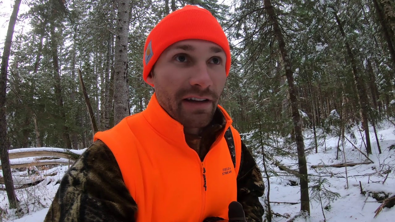 Maine Deer Hunting 2020 YouTube